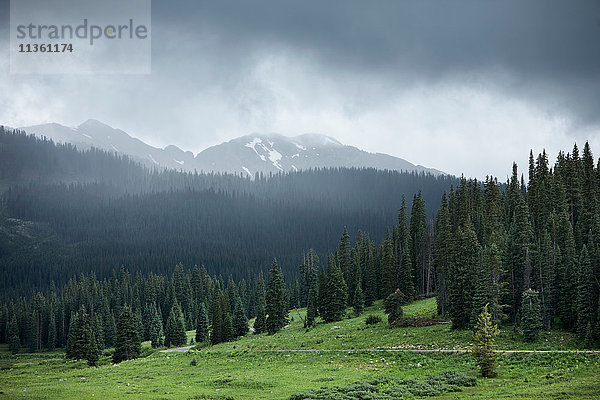 Sturmwolken über der Berglandschaft  Crested Butte  Colorado  USA