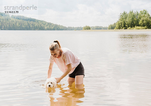 Frau trainiert coton de tulear Hund zum Schwimmen im See  Orivesi  Finnland
