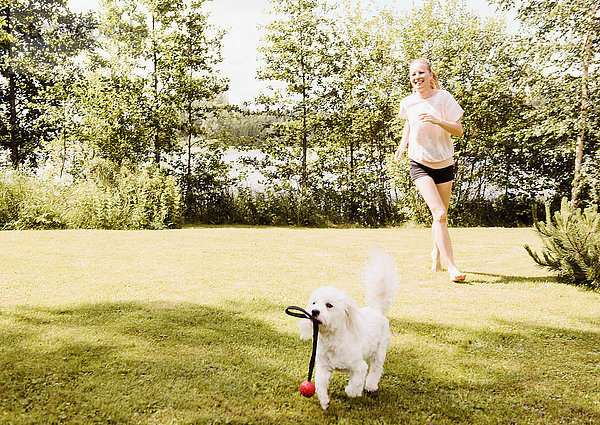 Frau rennt dem Hund coton de tulear im Garten nach  Orivesi  Finnland