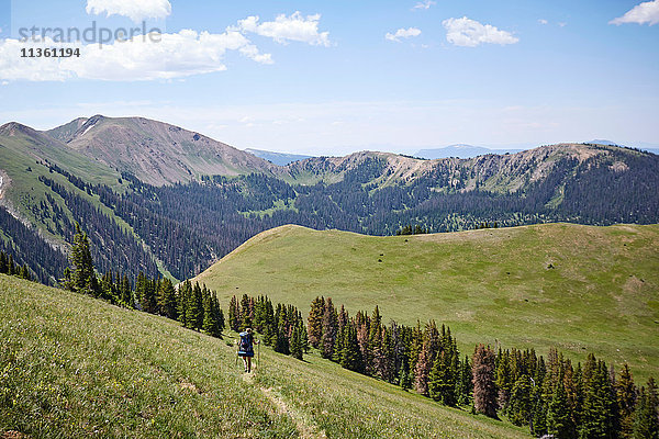 Landschaftswanderweg für Rucksacktouristinnen  Never Summer Wilderness  Colorado  USA