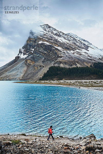 Wandern am Bow Lake  Banff  Alberta  Kanada