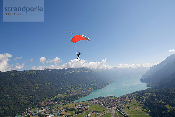Fallschirmspringer mit Fallschirm über dem See  Interlaken  Bern  Schweiz