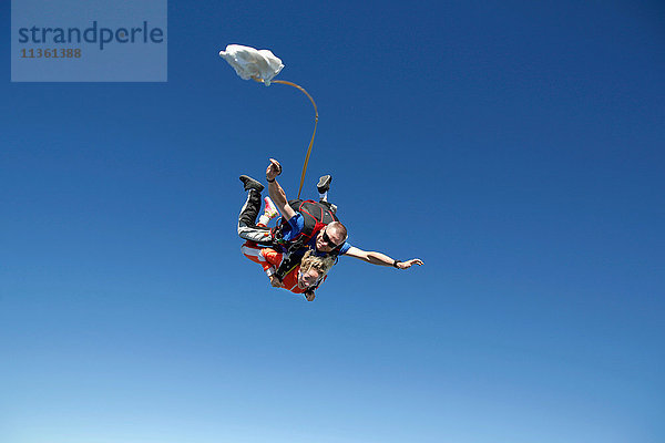 Tandemspringer im freien Fall mit Fallschirmöffnung  Interlaken  Bern  Schweiz