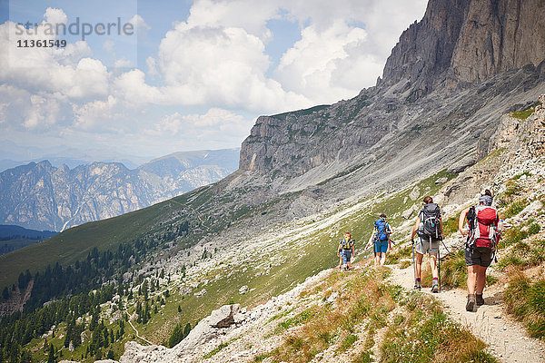 Rückansicht von Wanderern auf Bergpfad  Österreich