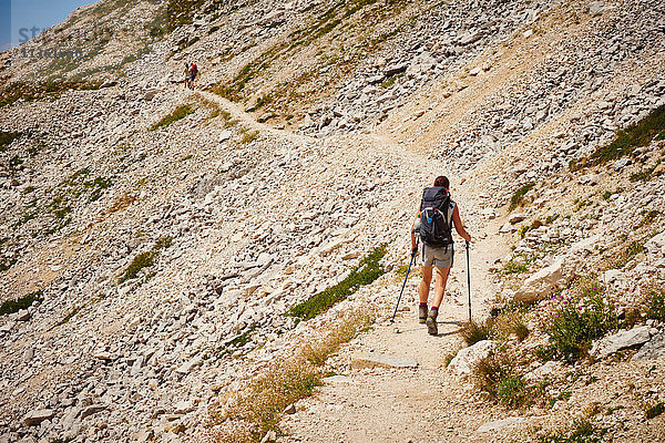 Rückansicht eines Wanderers mit Wanderstöcken auf Bergpfad  Österreich