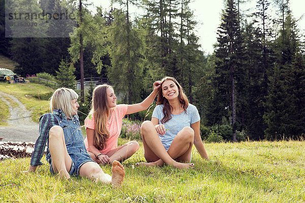 Junge Frau legt Blume ins Haar von Freunden im Feld  Sattelbergalm  Tirol  Österreich