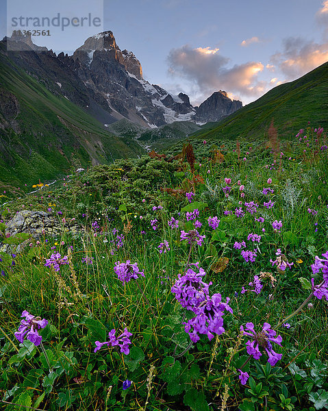 Ländliche Landschaft  Uschba-Berg im Hintergrund  Kaukasus  Swaneti  Georgien