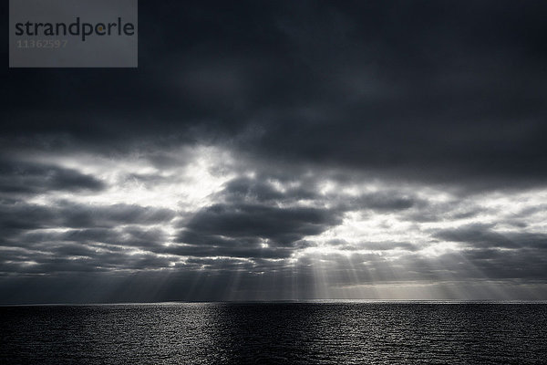 Sonnenstrahlen durch Wolken über dem Meer  Insel Guadalupe  Mexiko