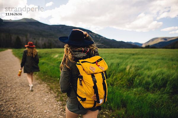 Rückansicht von Frauen  die auf Feldwegen wandern  Rocky Mountain National Park  Colorado  USA