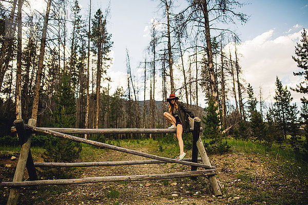 Frau beim Waldklettern auf Holzkonstruktionen  Rocky Mountain National Park  Colorado  USA