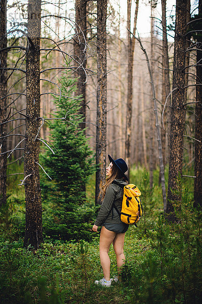Frau im Wald beim Wegschauen  Rocky Mountain National Park  Colorado  USA