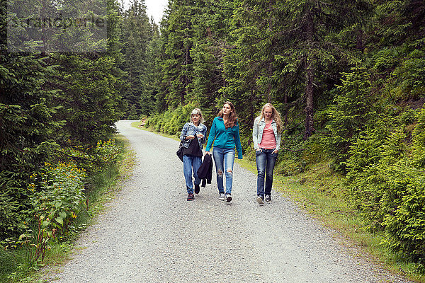 Drei Freundinnen auf Waldweg  Sattelbergalm  Tirol  Österreich