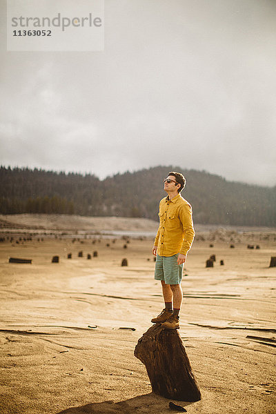 Porträt eines jungen Mannes auf Holz stehend  Huntington Lake  Kalifornien  USA