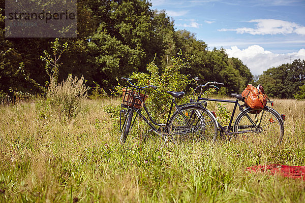 Zwei Fahrräder im Busch auf einem ländlichen Feld geparkt