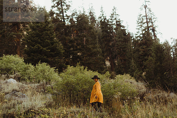 Frau wandert in ländlicher Umgebung  Mineral King  Sequoia National Park  Kalifornien  USA