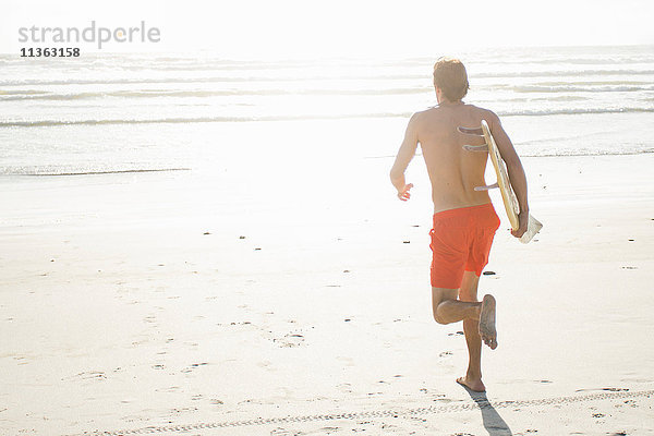 Rückansicht eines jungen männlichen Surfer  der am sonnenbeschienenen Strand läuft  Kapstadt  Western Cape  Südafrika