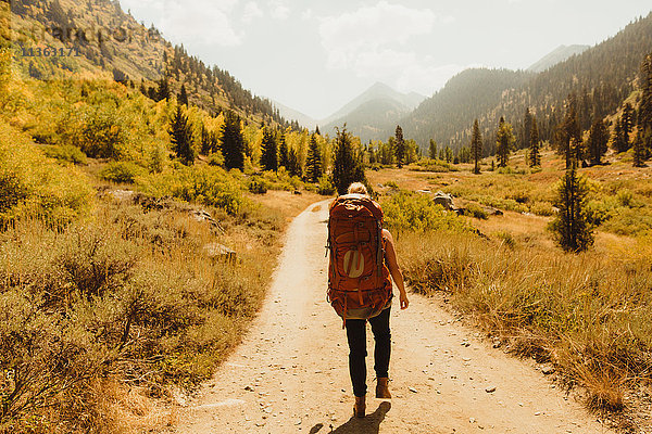 Frau mit Rucksack  Wanderung auf einem ländlichen Pfad  Rückansicht  Mineral King  Sequoia National Park  Kalifornien  USA