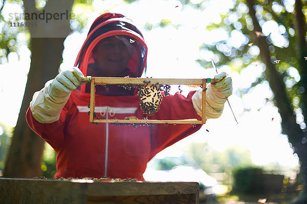 Bienenzüchterin mit Bienenstockrahmen