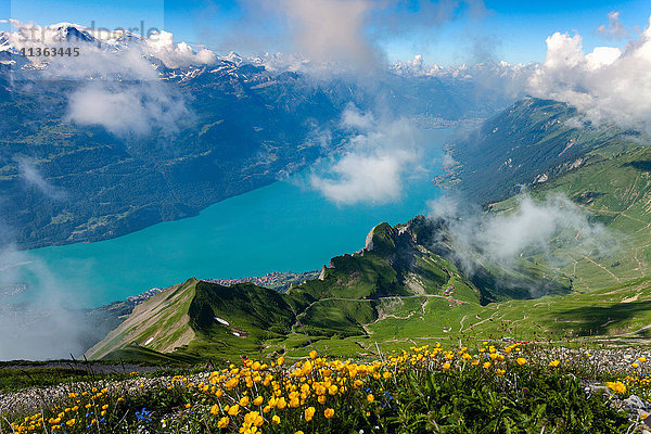 Erhöhte Ansicht des Flusses durch das Tal  Brienzer Rothorn  Berner Oberland  Schweiz
