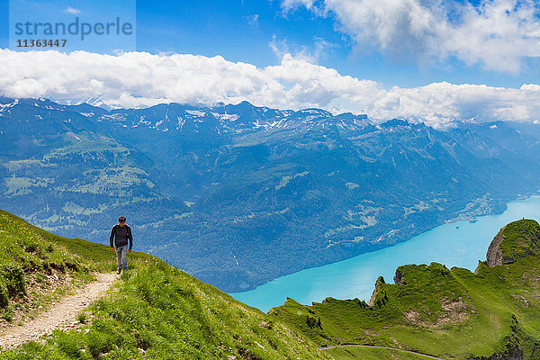 Mann auf Bergpfad  Brienzer Rothorn  Berner Oberland  Schweiz