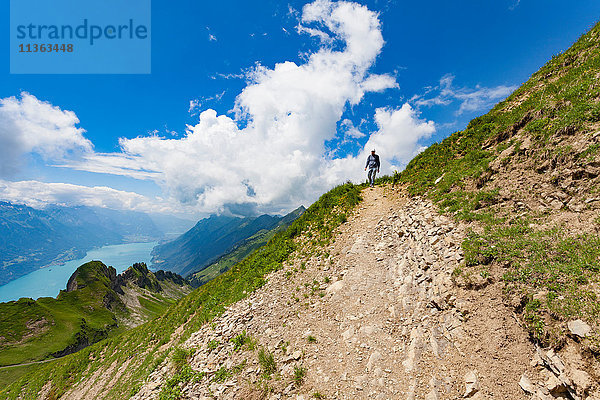 Mann auf Bergpfad  Brienzer Rothorn  Berner Oberland  Schweiz