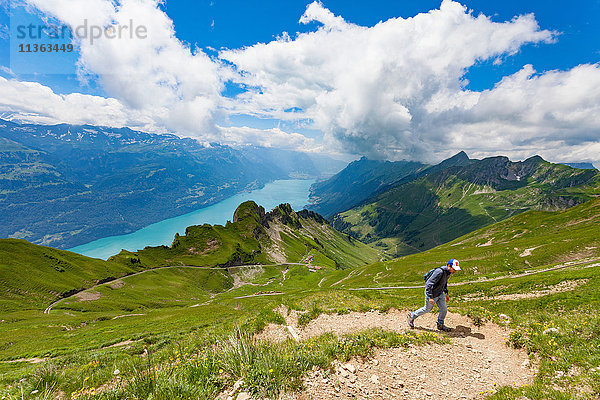 Mann auf Bergpfad  Brienzer Rothorn  Berner Oberland  Schweiz