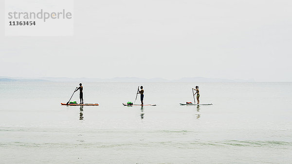 Freunde Paddelboarding  Olbia  Sardinien  Italien