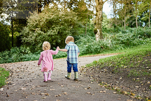 Rückansicht eines Bruders und einer Schwester  die sich im Park an den Händen halten