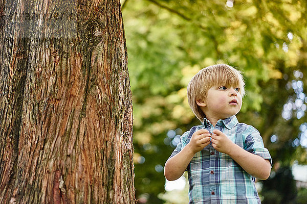 Junge am Baum  der wegschaut