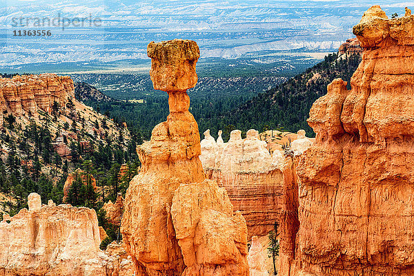 Erhöhte Ansicht von Sandsteinfelsformationen  Bryce-Canyon  Garfield County  Utah  USA