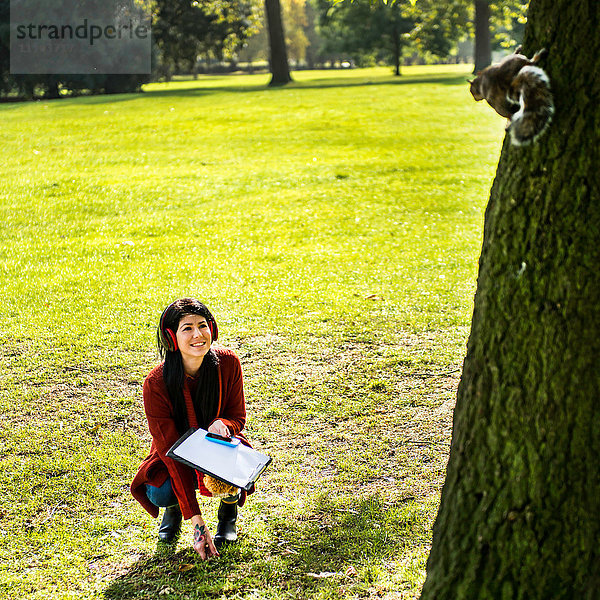 Junge Frau kauert im Park und schaut Eichhörnchen im Baum an