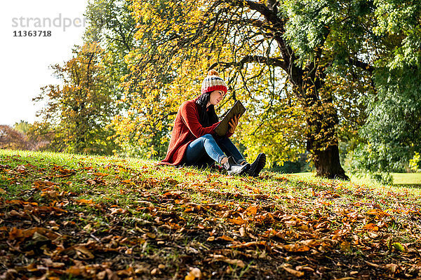 Junge Frau sitzt auf Gras im Park  studiert  Blick aus niedrigem Winkel