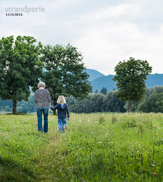 Rückansicht von Großmutter und Enkel im Feld  Füssen  Bayern  Deutschland