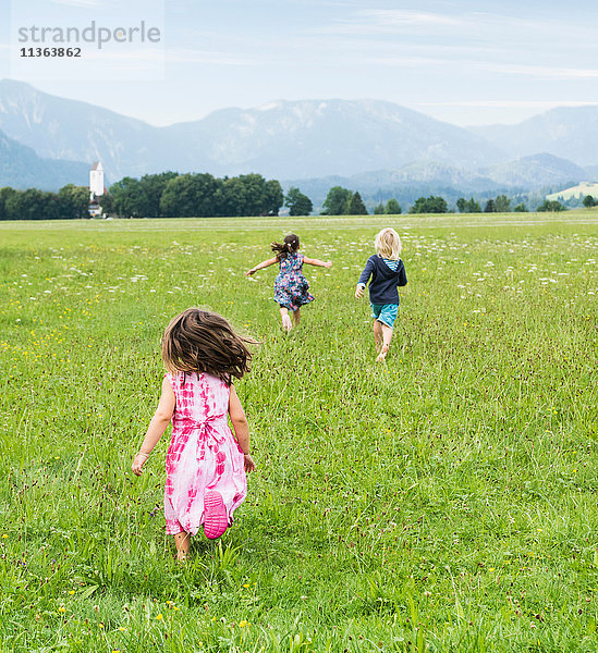 Rückansicht der im Feld laufenden Kinder  Füssen  Bayern  Deutschland