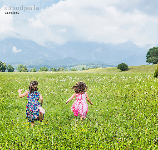 Rückansicht der im Feld laufenden Mädchen  Füssen  Bayern  Deutschland