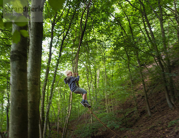 Junge im Wald schwingt auf Baum