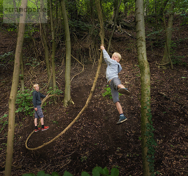 Junge im Wald schwingt auf Baum