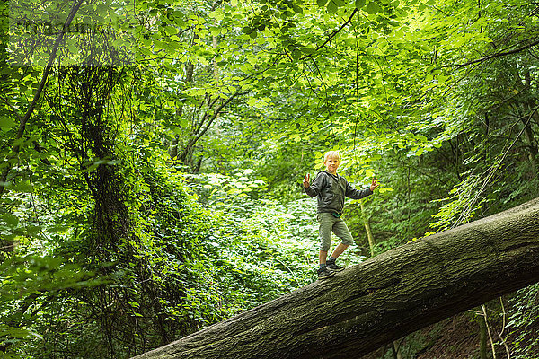 Junge im Wald balanciert auf umgestürztem Baum