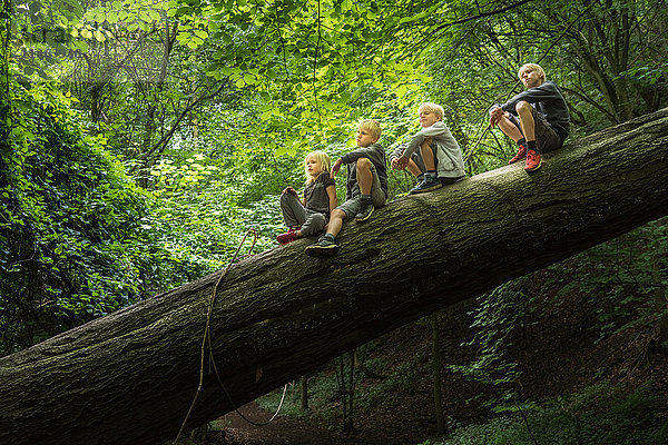 Junge im Wald sitzt auf umgestürztem Baum