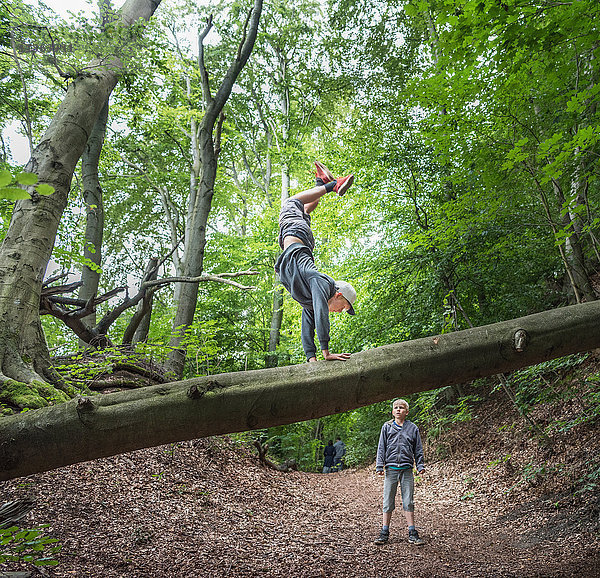 Junge im Wald macht Handstand auf umgefallenem Baum