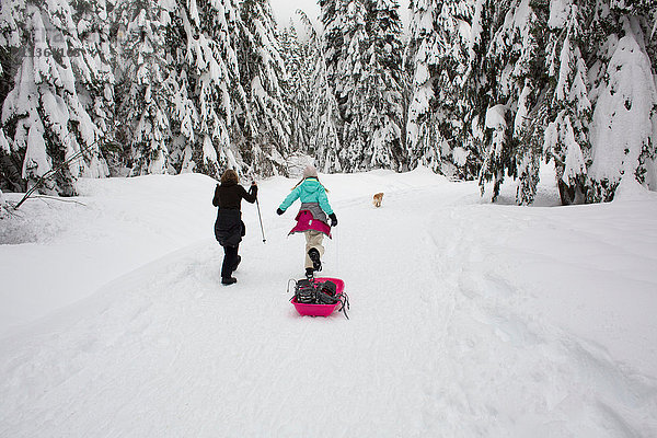 Junge und Mädchen laufen im Schnee  ziehen Schlitten  Rückansicht
