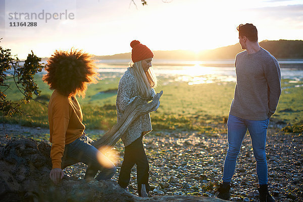 Drei erwachsene Freunde beobachten den Sonnenuntergang über dem Meer  während sie Treibholz sammeln