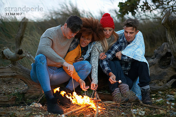 Vier erwachsene Freunde drängten sich zusammen  um in der Abenddämmerung am Strand Marshmallows zu rösten