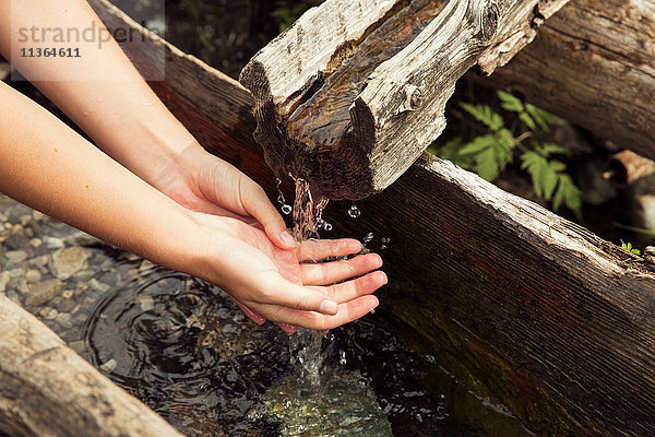 Frauenhände unter frischem Trogwasser  Sattelbergalm  Tirol  Österreich