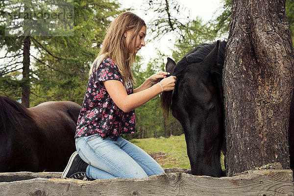Mädchen kniet im Wald  um Pferdemähne zu flechten  Sattelbergalm  Tirol  Österreich