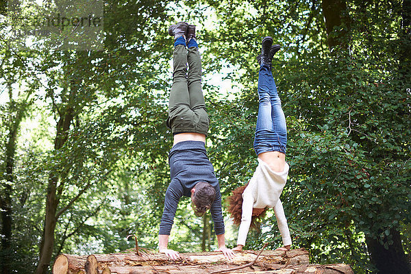 Ehepaar im Wald macht Handstand auf umgestürztem Baum