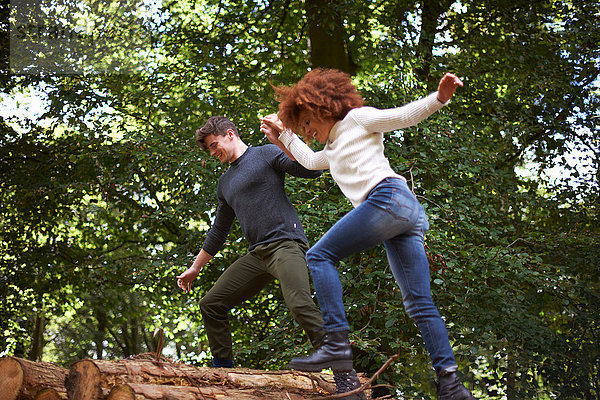 Paar im Wald hält Hände und balanciert auf umgestürztem Baum