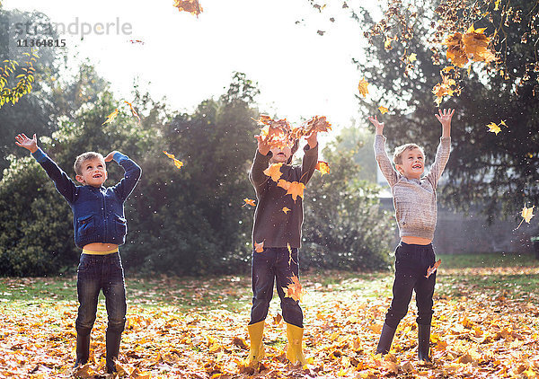 Drei Jungen im Freien  die Herbstblätter werfen