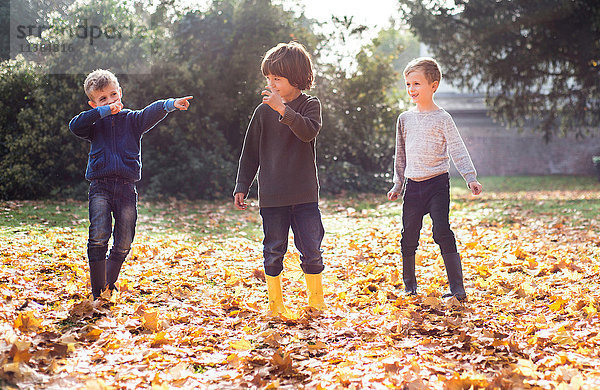 Drei Jungen spielen im Herbst im Freien  im Herbstlaub