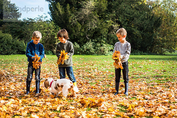 Drei Jungen spielen mit ihrem Hund im Freien und sammeln Herbstblätter